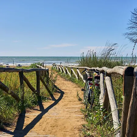 Seaside Escape In *